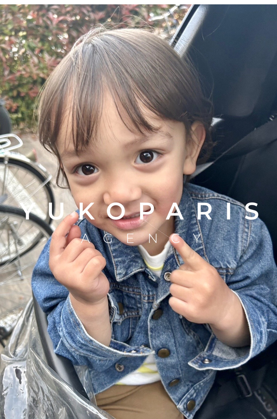 ルカD