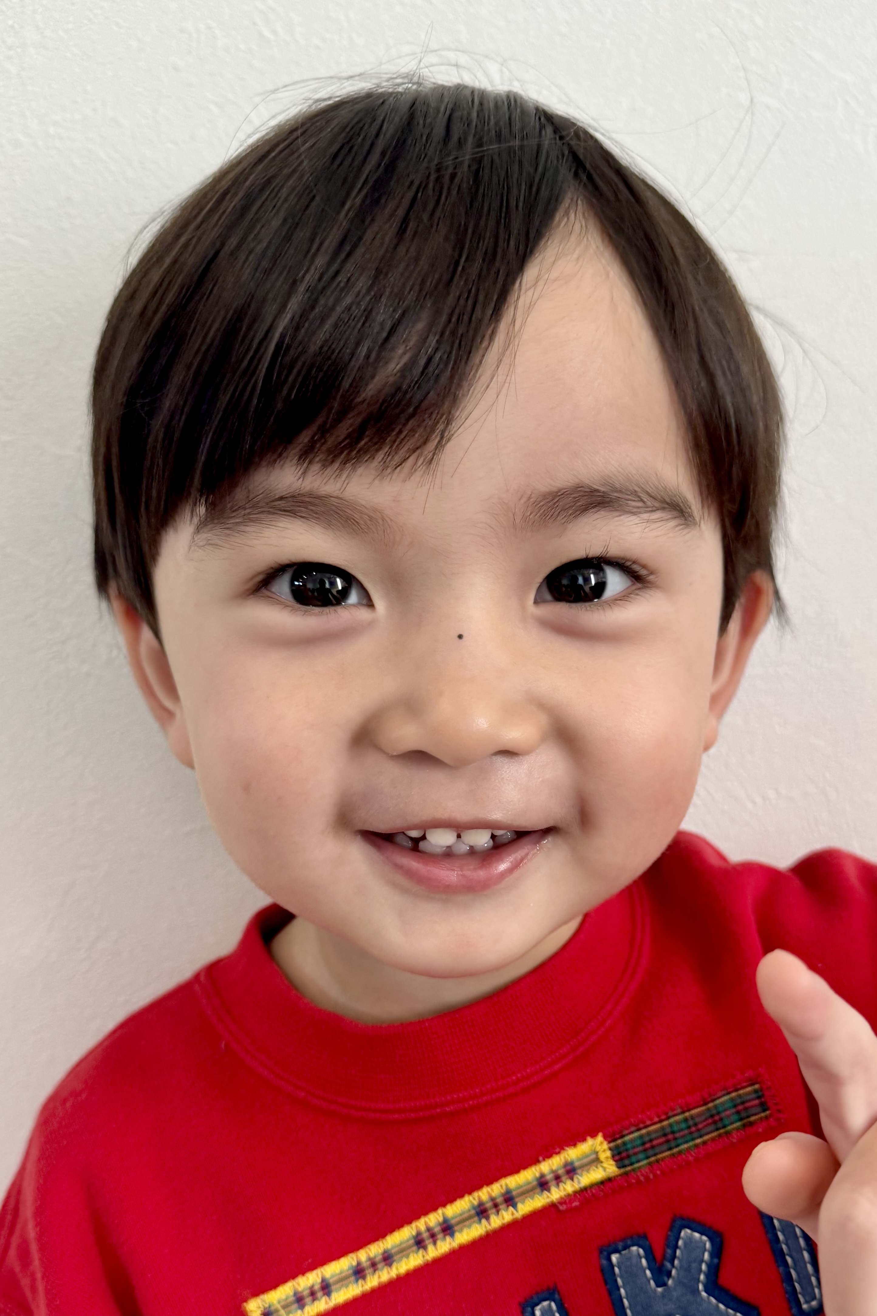 シキO